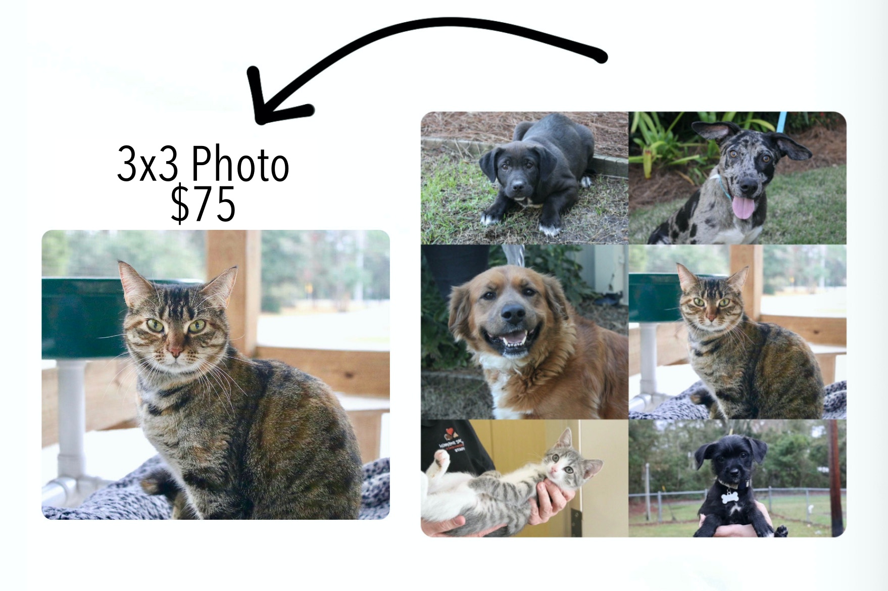 Critter Calendar sample layout