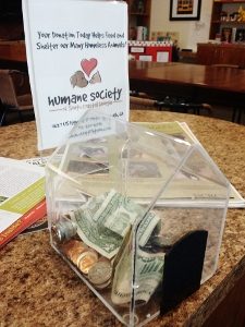Dog house donation box