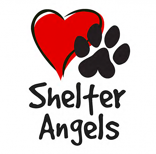 Shelter Angel Program
